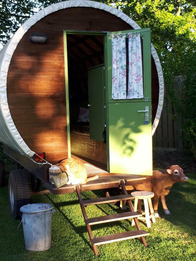 Irish Bowtop Op Het Platteland Van Huize Ouwervelden Wouwsche Plantage エクステリア 写真